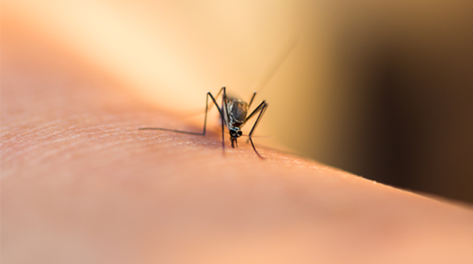 ¿Qué debo hacer si las picaduras de mosquito se inflaman mucho?