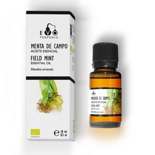 AE TERPENIC MENTA CAMPO 10 m