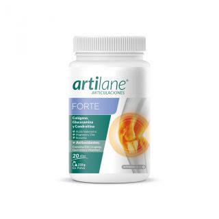 Artilane Colágeno Forte Polvo 220 g