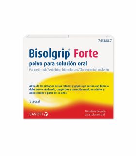 Bisolgrip Forte 650/4/10 mg 10 sobres