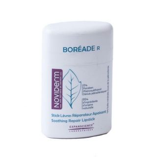 Boreade R Stick Reparador 9,2 G